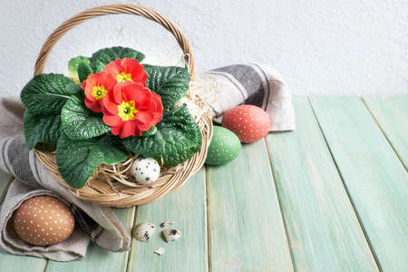 Easter basket with quail egg and red primrose pot flowers. Painted Easter eggs in linen tower on light mint green rustic wooden table. Springtime Easter decorative arrangement. Zero waste decor ideas.の写真素材