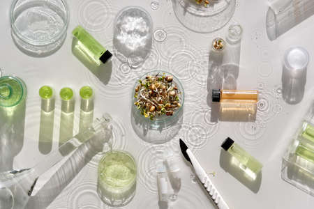 Macrobiotic food. Mix of fresh sprouts in glass jar. Nutrition value of sprouting mix. Green fresh plants in laboratory. Long shadows, splashes of water. Chemical tubes, petri dishes, glass vials.の写真素材