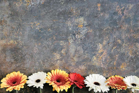 Orange and burgundy gerberas and white baby breath flowers on dark distressed background with copy space, place for your text. Flower arrangement, floral composition.の写真素材