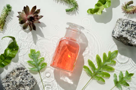 Water background, cosmetic skincare moisturizer, orange gel in chemical glass bottle. Dark glass bottles. Water surface, splashes, rings, granit stones. Exotic leaves. Natural sunlight, long shadows.の写真素材