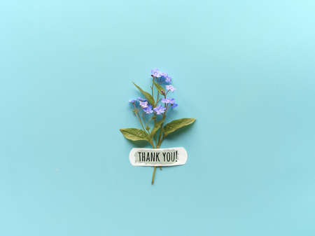 Thank you text. Forget-me-not wild flowers fixed with band aidの写真素材