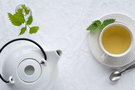 Nettle tea cup, fresh stinging nettle herbs.の写真素材