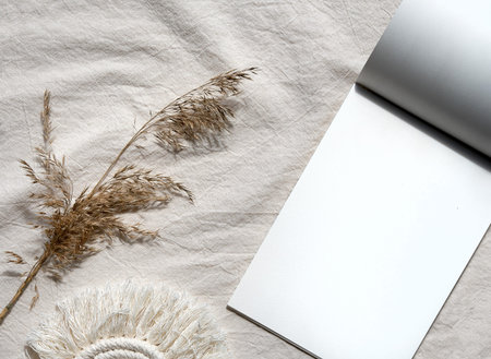 Copy space n block note and pampas grass.