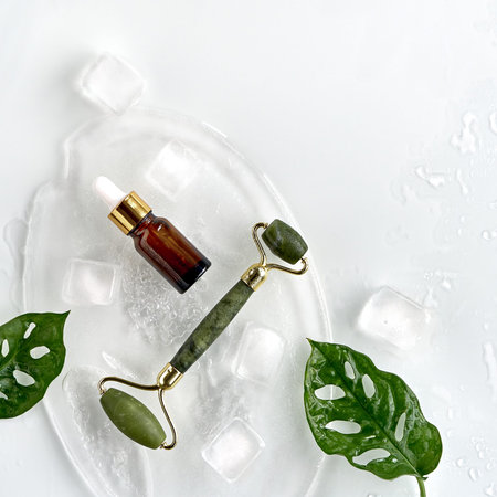 Green jade face roller, essential serum on ice with ice cubes and exotic leaves. Monstera Adansonii...
