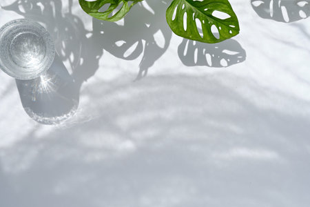 Moisturizer, green jade face roller with exotic leaves. Monstera Adansonii leaves. Sunshine, long...
