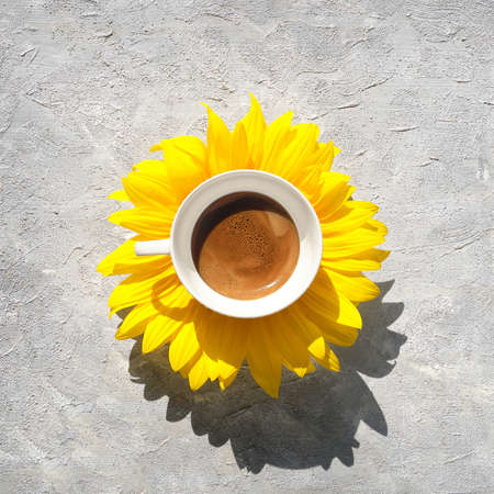 Cup of coffee on natural sunflower flower. Sunshine energy in the cup. Simple minimal concept flat lay, top view on grey textured background.の写真素材