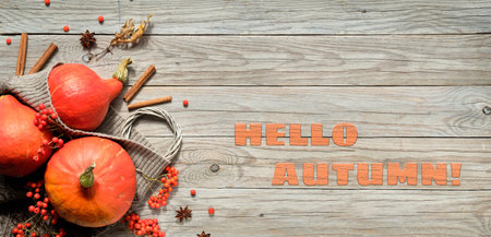 Hallo Autumn, text with orange Hokkaido pumpkins, rowan berry and Autumn decorations. Flat lay, top...