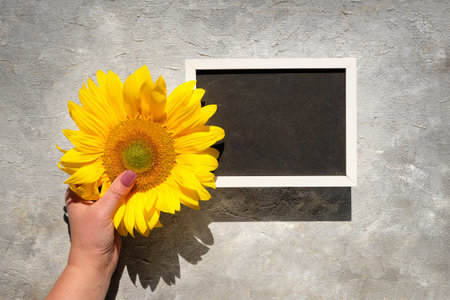 Text space, copy-space on blackboard. Autumn natural decorations. Yellow sunflower in hand. Flat...