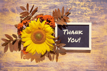 Text Thank You on blackboard. Autumn natural decorations. Yellow sunflower, orange rowan berry with...