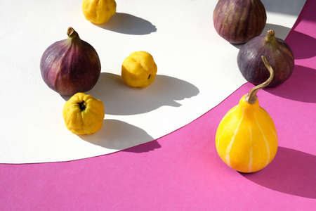 Card with Autumn colors. Purple fig, yellow quince fruits and pumpkin on vibrant fuchsia, magenta and white layered paper. Sunlight, long shadows.の写真素材