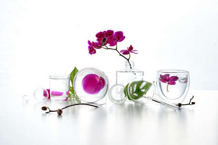 Reflections, floral elements distorted in water. Natural laboratory. Abstract floral arrangement with magenta orchid flowers and exotic monstera leaves in transparent glass vases, jars, vials.の写真素材