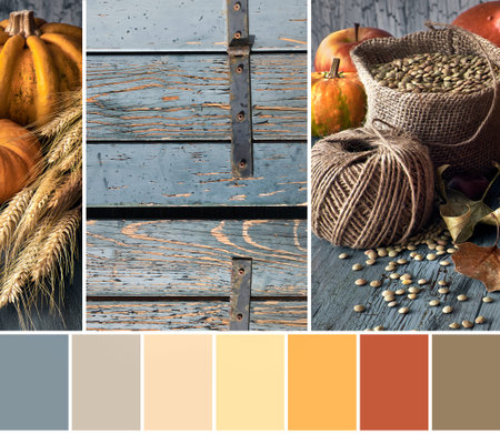 Autumn color matching palette. Orange, red, grey, beige color swatches from aged wood image and...