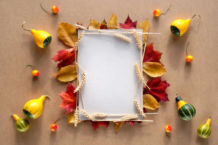 Autumn frame made with natural Fall leaves, wheat ears and decorative pumpkins and berries. Copy-space, text place on white paper page. Natural terracotta, beige, yellow and red color shades. Top viewの写真素材