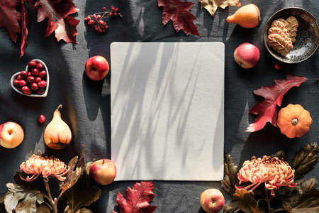 Orange chrysanthemum flowers, dry bunny tail grass and red oak leaves, pumpkins, cranberry. Autumn decorations, flat lay on dark textile.の写真素材