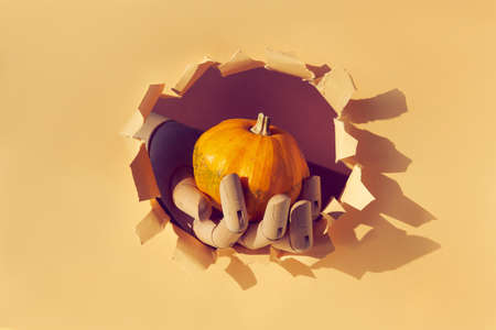 Orange pumpkin in wooden model hand through paper hole in torn beige paper. Hello Autumn seasonの写真素材