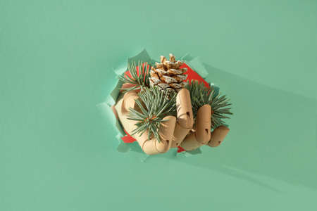 Merry Christmas, hand with fir twigs and cone through paper hole. Creative minimal concept background with long shadow on mint green paper.の写真素材