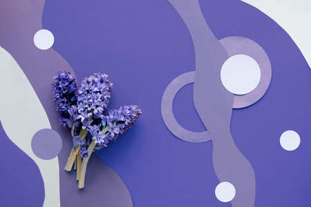 Purple very peri monochrome abstract paper background with hyacinth flowers and natural organic paper shapes.の写真素材