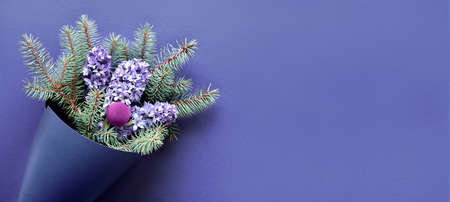Winter panoramic banner with bouquet on purple very peri monochrome paper background. Fir twigs and blue hyacinth flowers. Simple minimal winetrtime flat lay.の写真素材