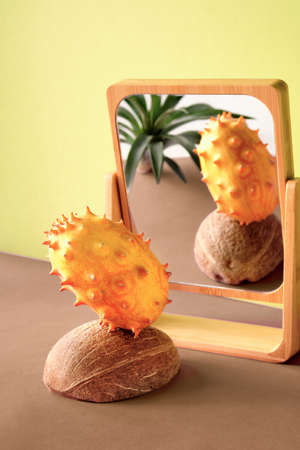 Dragon fruit, pitahaya, balancing on coconut shell. Paper background in brown and golden yellow. Reflection of the fruit and exotic plant in deco mirror in bamboo wood frame.の写真素材