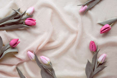 Pink tulips on cream, beige textile background. Springtime holiday card design with copy-space. Easter, Birthday, Mothers day, March 8 International Womens day.の写真素材