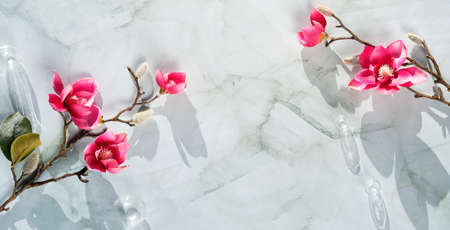 Banner with magnolia twigs on neutral stone background. Spring decor, minimal panoramic flat lay.の写真素材