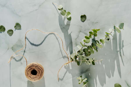 Fresh eucalyptus twigs tied in bunch with hemp cord on mint green stone backdrop. Wintertime, springtime background, monochromatic look.の写真素材