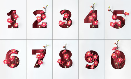 Numbers one to ten and zero outlines with red plum flowers. Floral design elements on white paper.