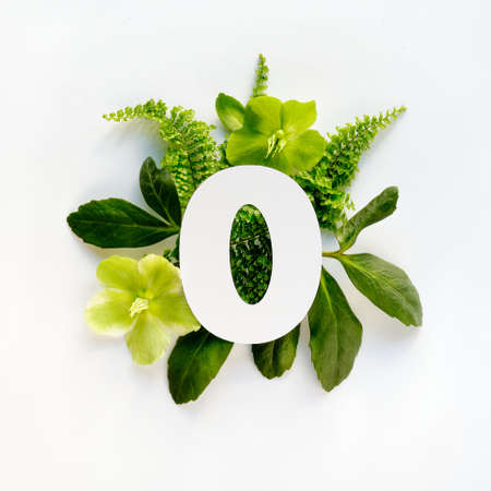 Number four cut out of white paper. White and green helleborus winter rose flowers, fern leaves.の写真素材