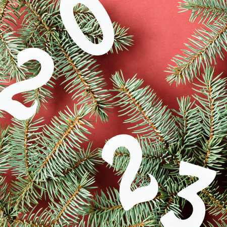 Outline of 2023 paper numbers on red background with natural fir twigs. Red green square background.の写真素材