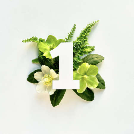 Number one cut out of white paper. White and green helleborus winter rose flowers, fern leaves.の写真素材