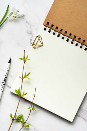 Mockup with blank album, notebook with spiral binder. Fresh spring leaves on off white marble stone background. Copy-space, place for your lettering, greeting text on white paper.の写真素材
