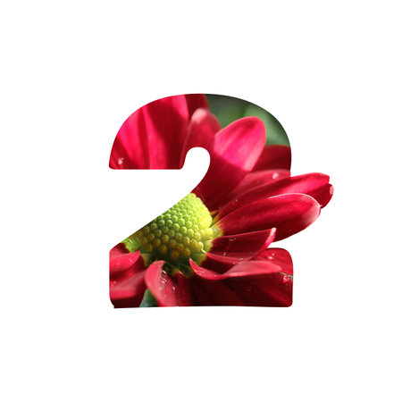 Number 2 cut out shape isolated on white. Silhouette of number two with chrysanthemum flowers
