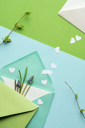 Spring background in shades of green. Paper envelope with card and yellow erranthis flowers, hearts on off white table.の写真素材