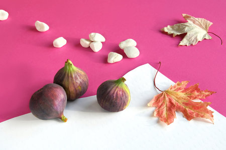 Autumn colors. Purple and magenta fig fruits on vibrant fuchsia and white layered paper. Off white...