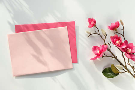 Blank postcard with envelope. Pink decorative magnolia flowers. Top view on off white background. Natural direct sunlight, shadows.の写真素材