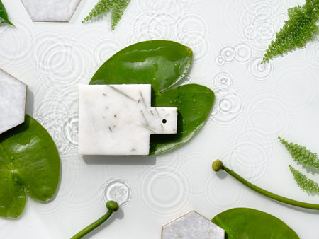 Water lily leaves and buds. Natural sunlight, long shadows. Splashes of water. Marble hexagons.