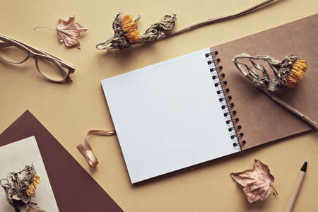 Mockup with blank album, notebook with spiral binder. Reading glasses, dry sunflower flowers. Flat lay on layered golden and off white paper. Natural sunlight, shadows. Recycled low impact materials.の写真素材