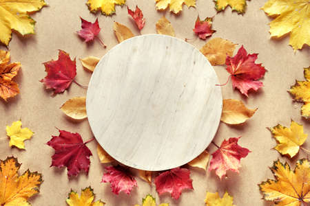 Blank circle stone pedestal. Dry Fall leaves on cardboard background.の写真素材