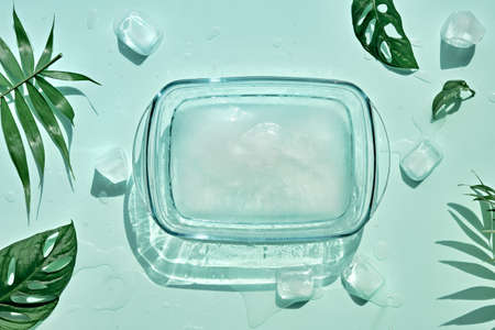 Summer mint green background with cold frozen ice cubes and leaves of house plants.の写真素材