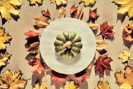 Circle stone board with ceramic pumpkin. Dry Fall leaves on cardboard background.の写真素材