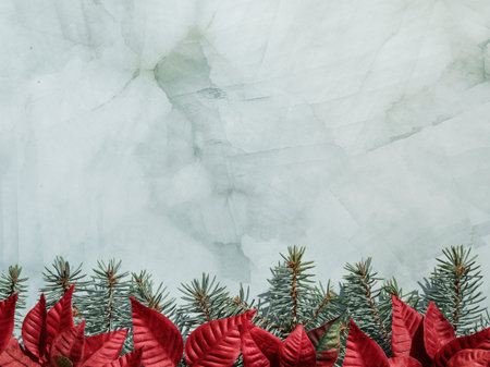 Christmas border with fir twigs and red Xmas star poinsettia flower leaves on green stone marble...