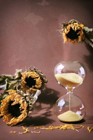 Autumntime still life with hourglass, sand clock and natural dry plants. Dry sunflowers on beige...