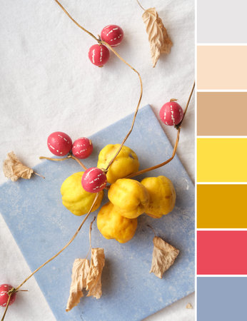 Color matching palette from close-up on yellow quince fruits on blue ceramic tile. Seasonal Fall...