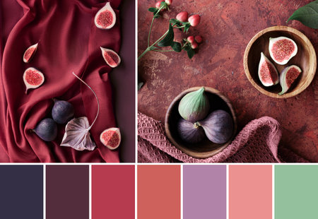 Color matching palette from images or vibrant magenta, purple fig fruits on raspberry red silk textile and orange brown terracotta colored backgroundの写真素材