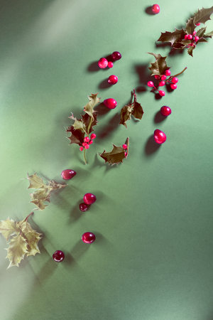 Christmas flat lay in green and red. Xmas background with natural fir twigs, holly leaves and cranberry berry. Natural wintertime decorations.の写真素材