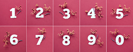 Viva Magenta color of the year 2023. Numbers with dry grass, lavender flowers. Numbers one to ten with floral decorations on dull red color paper background.の写真素材