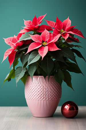 A white vase filled with red poinsettias on top of a wooden table. Generative AI image.の素材