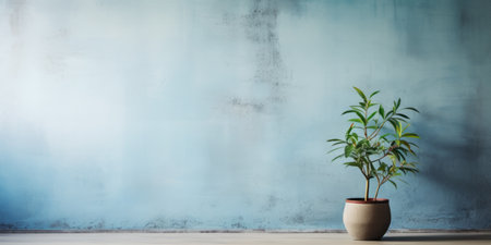 A potted plant sitting on a wooden floor in front of a blue wall. Generative AI image.の素材