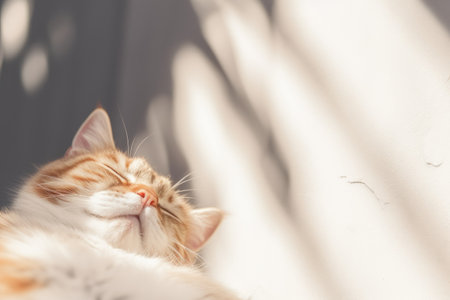 An orange and white cat sleeping on a couch.の素材