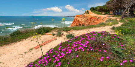 Spring coastline in Albufeira, Algarve, Portugal.の写真素材